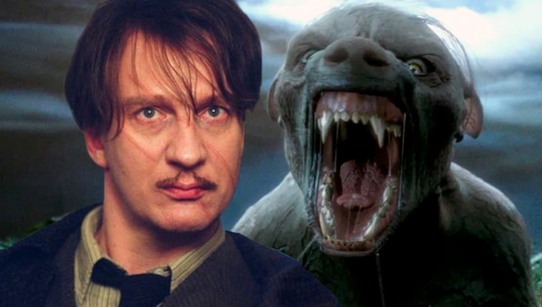 الremus 5 curiosidades sobre Remus Lupin que você provavelmente não sabia